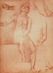 Studio di una figura nuda e arti umani, disegno di Andrea del Sarto